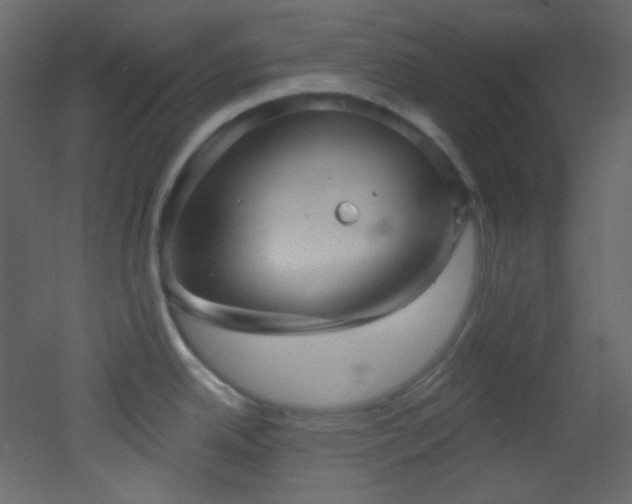 X0000053161342200507111457
