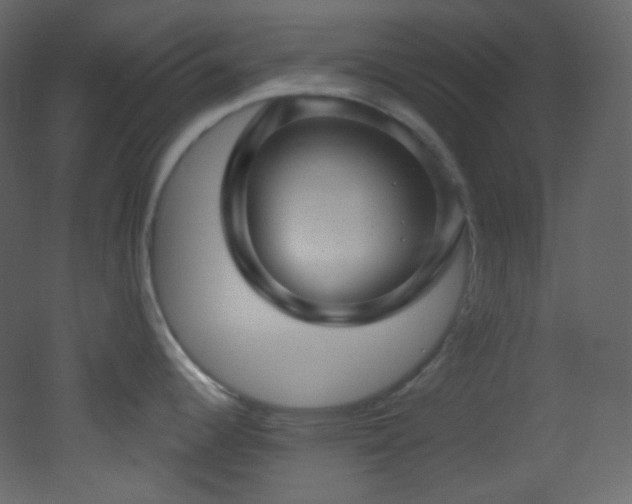X0000053161344200507111457