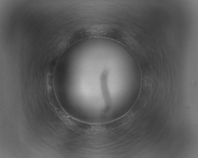 X0000053161346200507111456