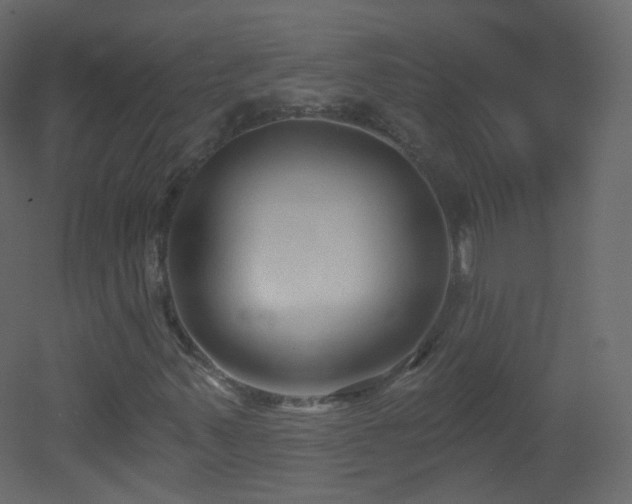 X0000053161347200507111456