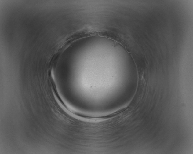 X0000053161348200507111456