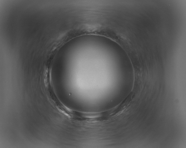 X0000053161349200507111456
