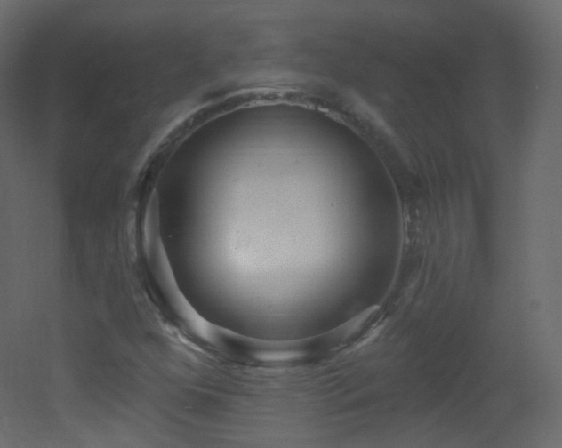 X0000053161352200507111456