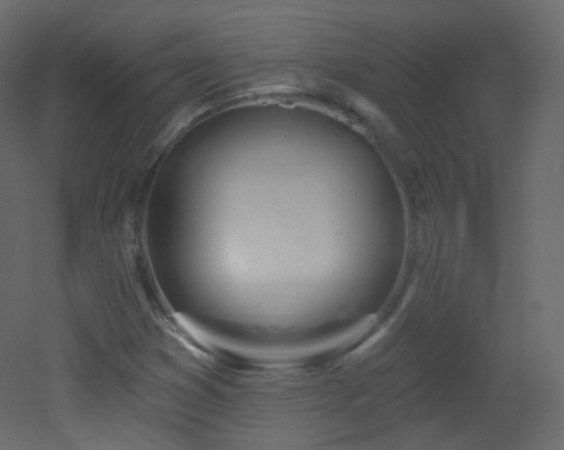 X0000053161353200507111456