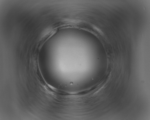 X0000053161354200507111456