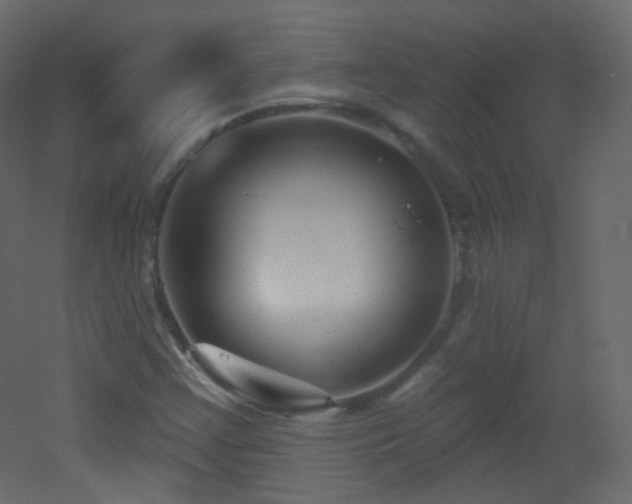 X0000053161355200507111456