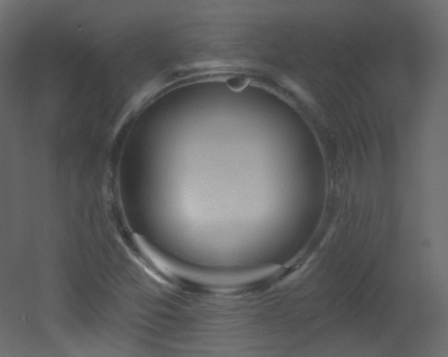 X0000053161357200507111456