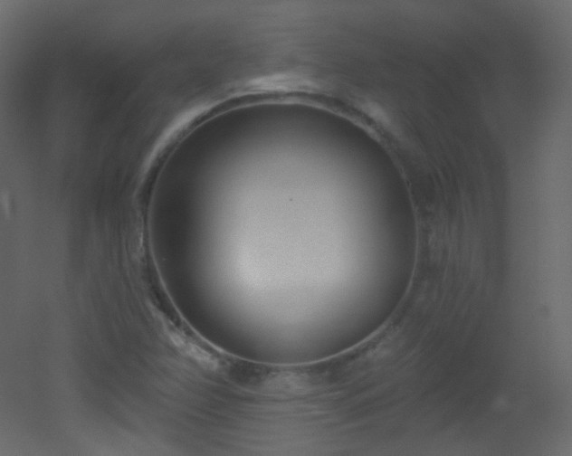 X0000053161358200507111456