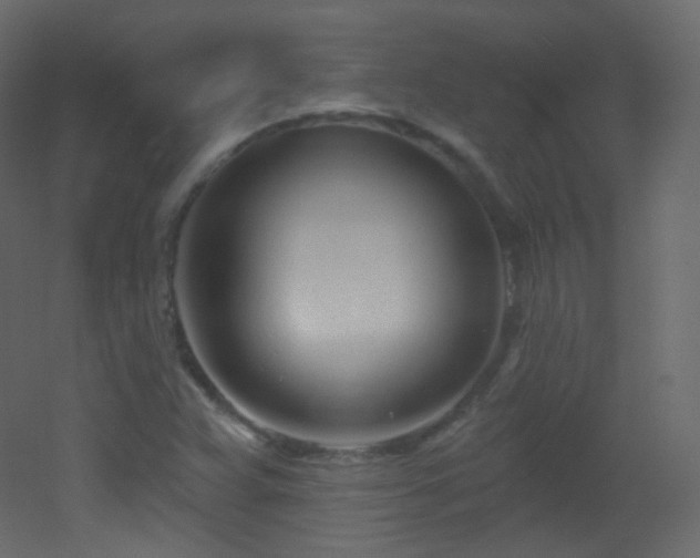 X0000053161359200507111456