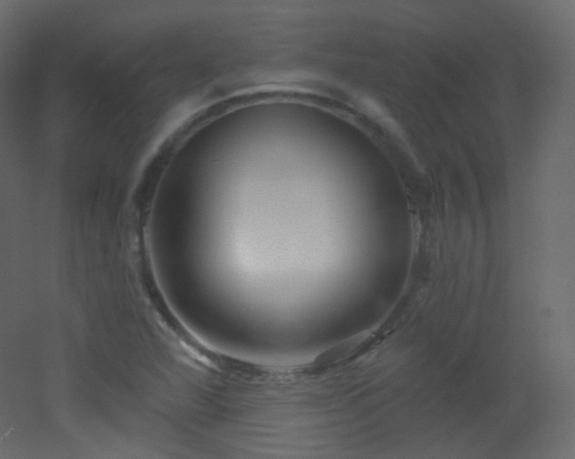 X0000053161360200507111456