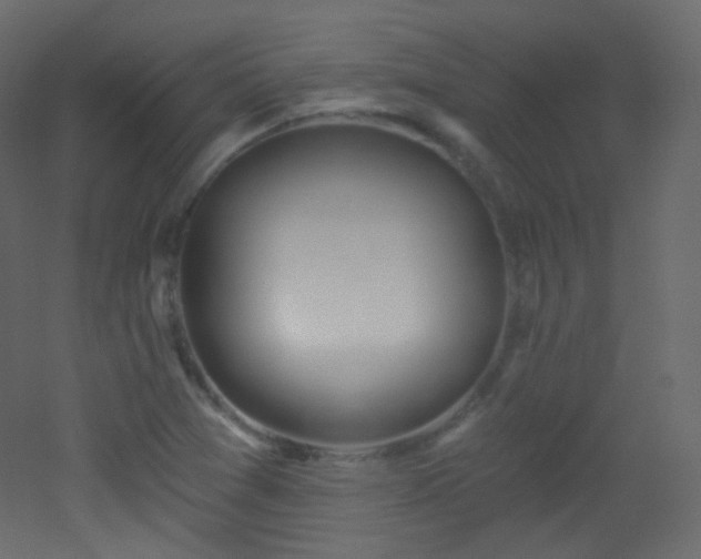 X0000053161361200507111456