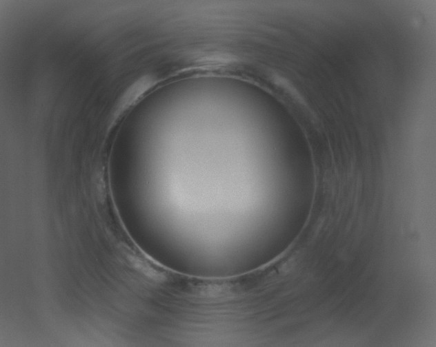 X0000053161362200507111456