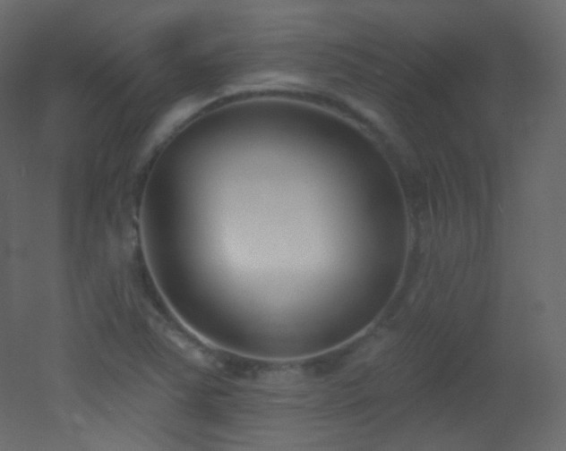 X0000053161363200507111456