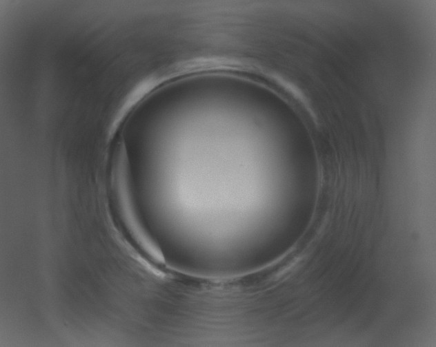 X0000053161365200507111456
