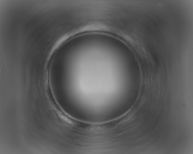 X0000053161366200507111456
