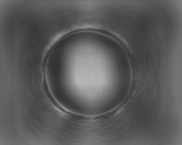 X0000053161367200507111456