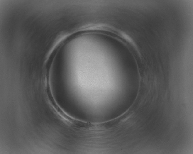 X0000053161368200507111456