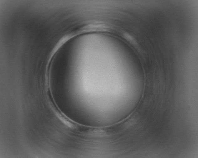 X0000053161370200507111456