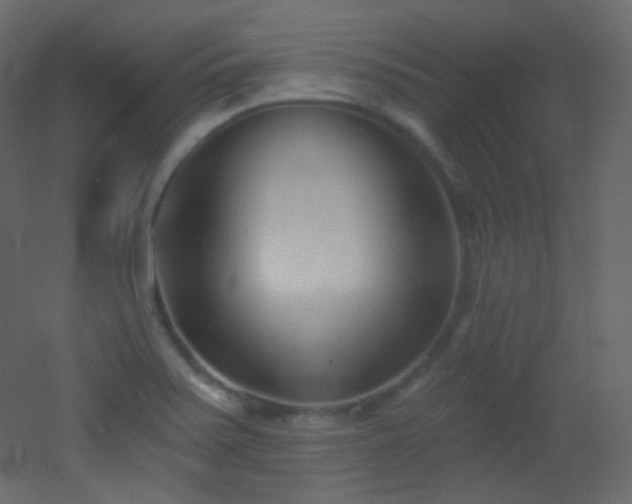 X0000053161371200507111456