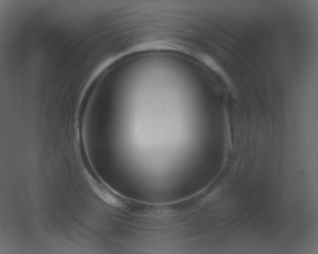 X0000053161372200507111456