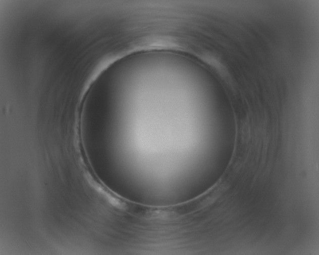 X0000053161374200507111456
