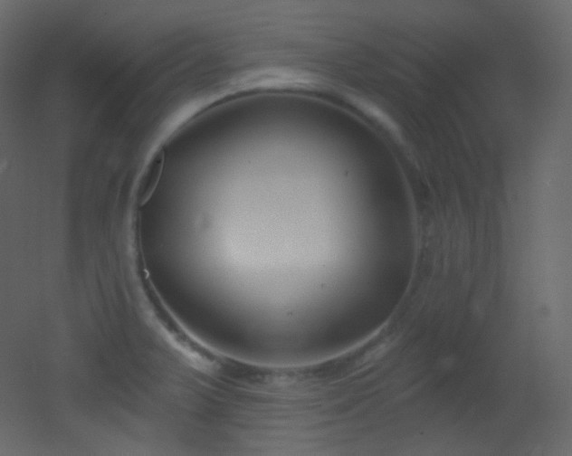 X0000053161375200507111456