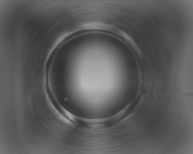 X0000053161376200507111456