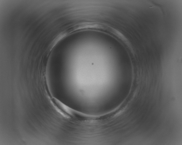 X0000053161377200507111456