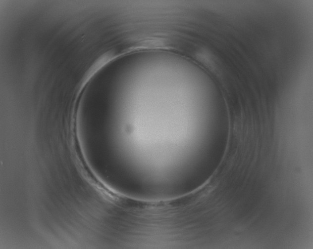X0000053161378200507111456