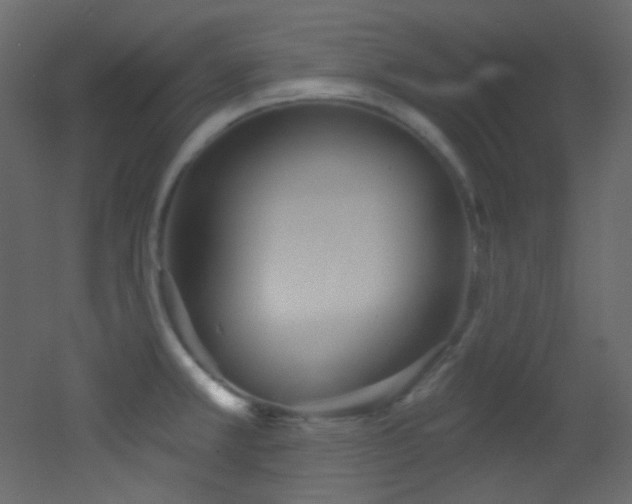 X0000053161381200507111456