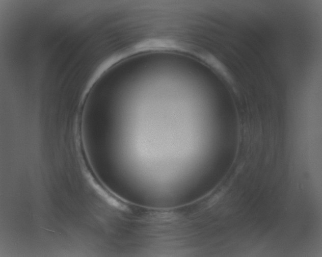 X0000053161382200507111456