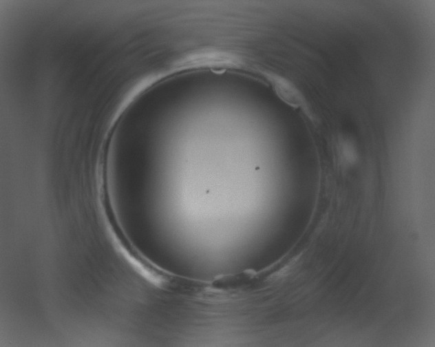 X0000053161383200507111456