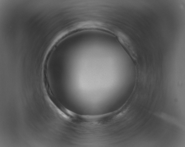 X0000053161384200507111456