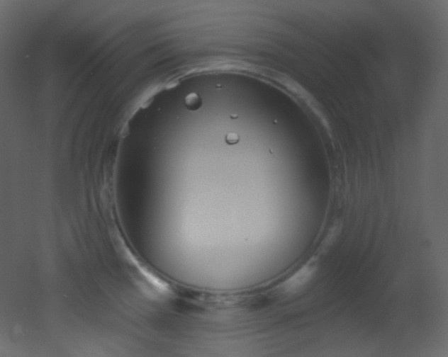 X0000053161385200507111456