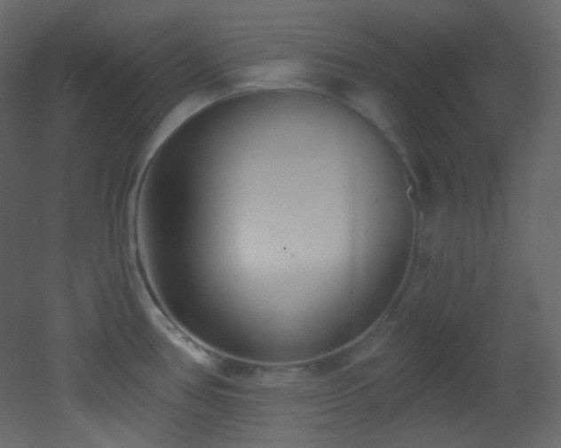 X0000053161386200507111456