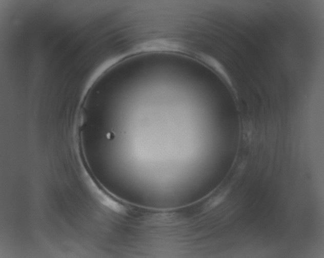 X0000053161387200507111456