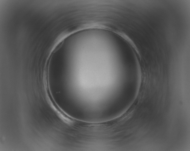 X0000053161391200507111456
