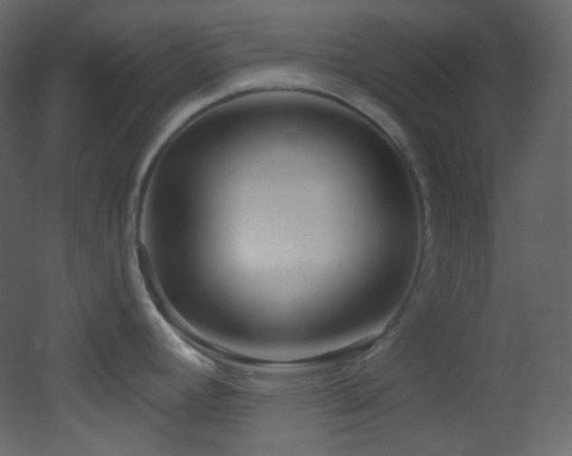 X0000053161392200507111456