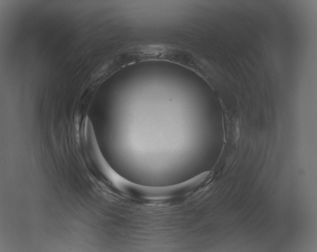X0000053161394200507111455