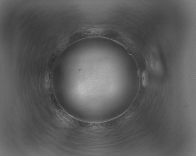 X0000053161395200507111455