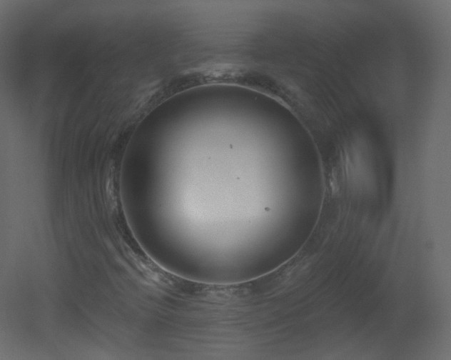 X0000053161396200507111455