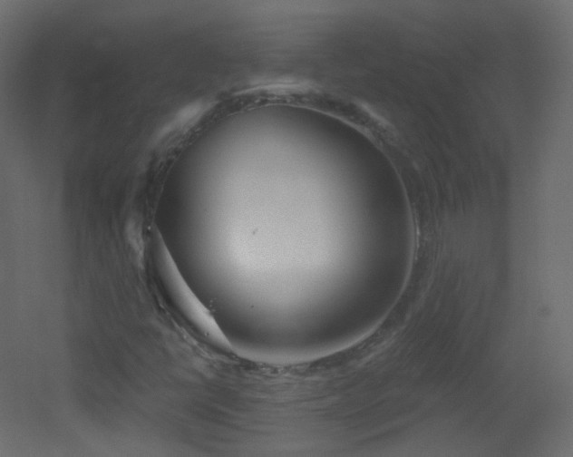 X0000053161398200507111455