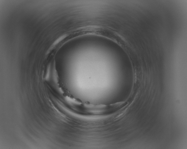 X0000053161402200507111455