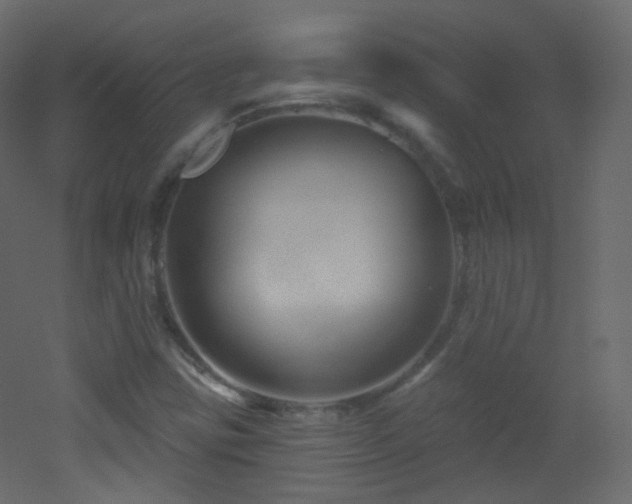 X0000053161403200507111455