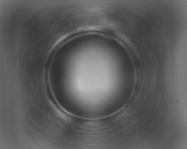 X0000053161404200507111455