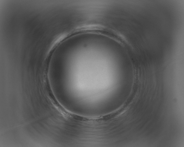 X0000053161405200507111455