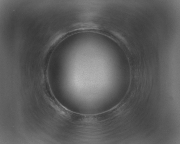 X0000053161407200507111455