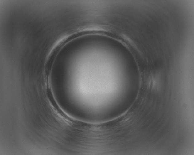 X0000053161408200507111455