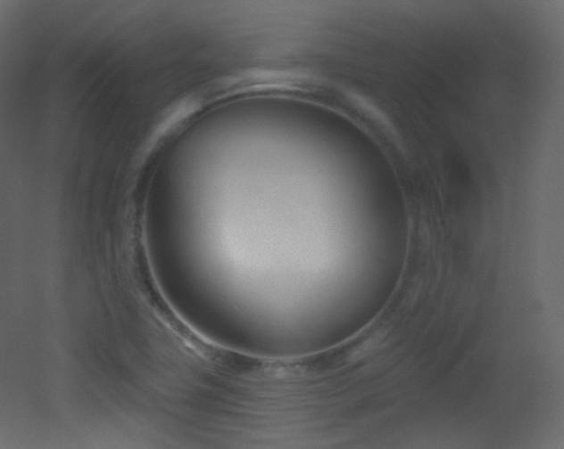 X0000053161411200507111455