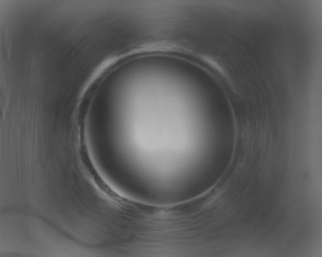 X0000053161414200507111455